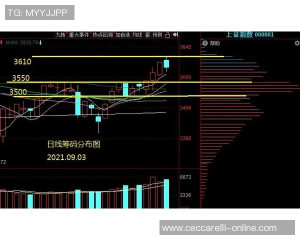 深圳篮球队的节奏革新探索与未来发展路径分析